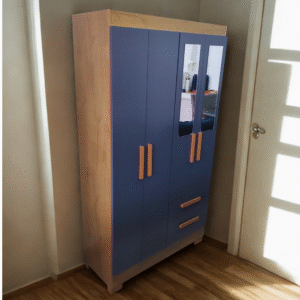 Guarda-roupa marrom com azul